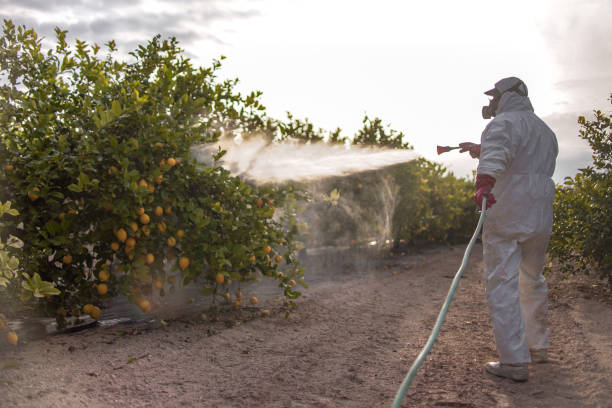 Best Residential Pest Control  in Fayetteville, PA