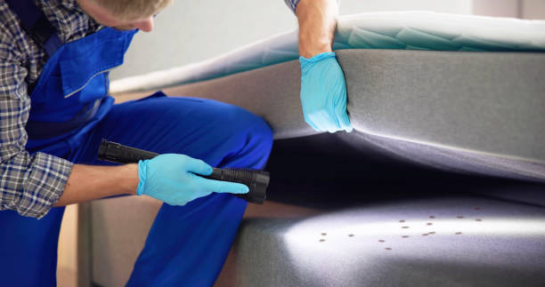 Reliable Fayetteville, PA Pest Control Solutions
