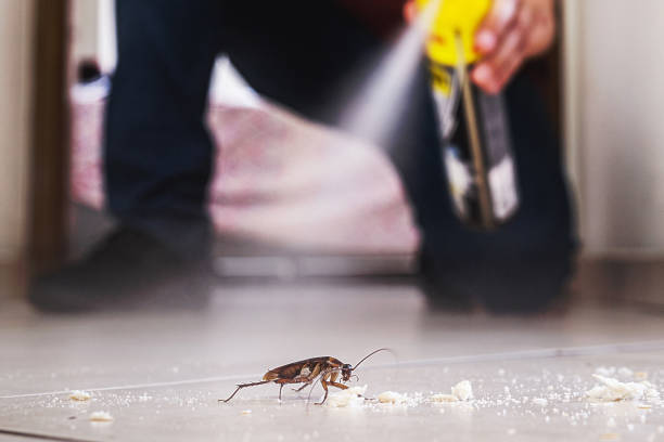 Best Affordable Pest Control Services  in Fayetteville, PA