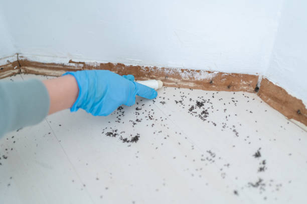 Pest Prevention Services in Fayetteville, PA
