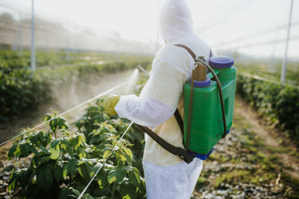 Best Emergency Pest Control  in Fayetteville, PA
